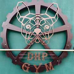Easybox DHP GYM, Moşniţa Veche
