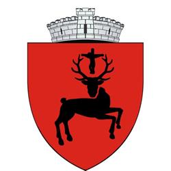 Primăria Baia