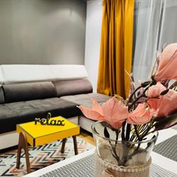 Confort View Apartment Iasi