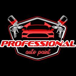 Professional Auto Paint SRL, Paşcani