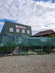 Agro Flor Prod S.R.L., Româneşti