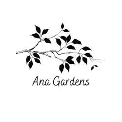 Ana Gardens, Brăila