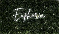 Euphoria Drinks & Food, Salonta