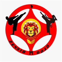 ZenSib DOJO, Sibiu