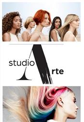 Arte studio, Arad