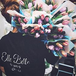 Elle Belle, Satu Mare