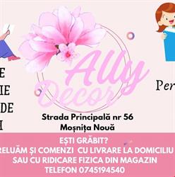 Ally Decor, Moşniţa Nouă