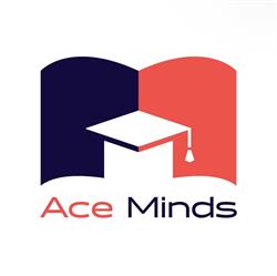 Ace Minds, Bucureşti