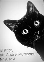 Moldovet - cabinet veterinar, Bistriţa