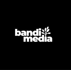 Bandi Media - Agenţie de Marketing, Oradea