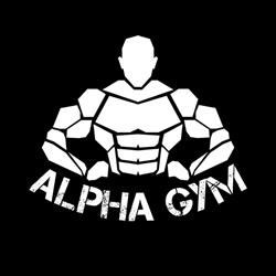 Alpha Gym, Dej