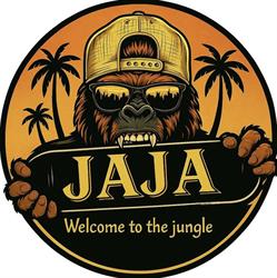 JajaPub Braila