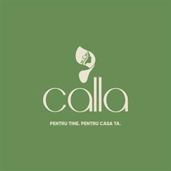Calla Fântânele, Arad