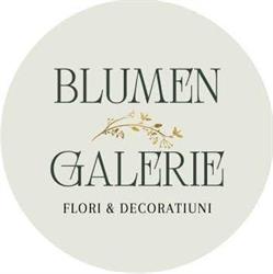 Blumen Galerie, Focşani