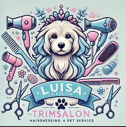 Luisa Frizerie Canina, Brăila