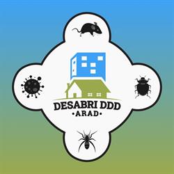 Desabri, Arad