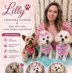 Coafura canina & Frizerie Lilly, Oradea