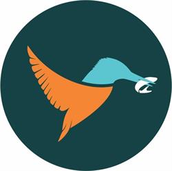 Magazin Kingfisher, Sighetu Marmaţiei