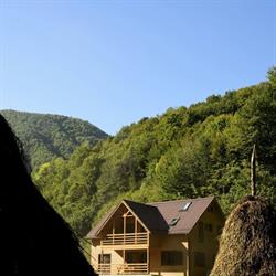 Găldiţa Home, Necrileşti