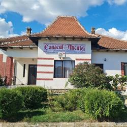 Conacul Ancuţei (Conacul Ancuţei), Brad