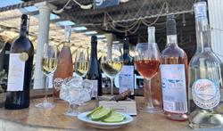 Peşte şi Vin în Vamă, Vama Veche