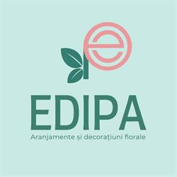 Edipa Flowers, Beiuş