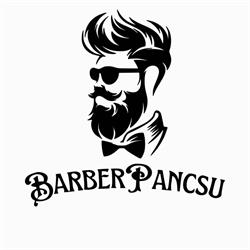 BarberPancsu, Carei