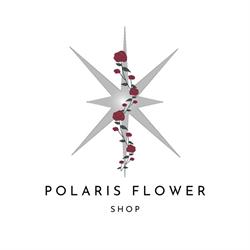 Polaris Flower Shop, Braşov