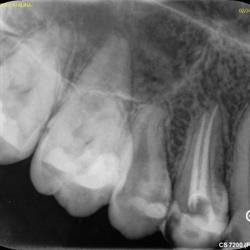 Dr. Bivolan Oana Stomatologie Urgenţe, Craiova