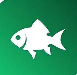 Fishing Mania Competition, Ghermăneşti