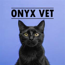 Onyx Vet - Cabinet Veterinar, Blaj