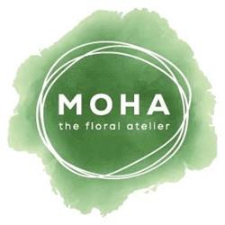 MOHA - the floral atelier, Miercurea-Ciuc