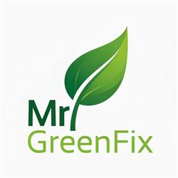 Mr GreenFix, Otopeni