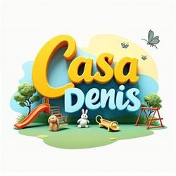 Casa Denis, Satu Mare