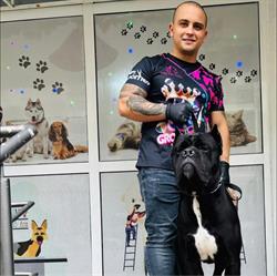 Sofia Pets-Coafor canin, Iaşi