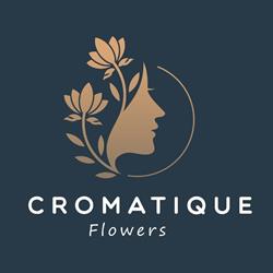 Cromatique, Buzău