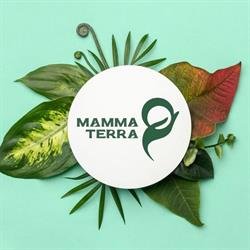 Mamma Terra Sibiu