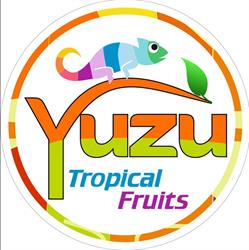 Yuzu.Flavours, Oradea