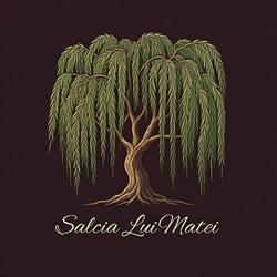 Centrul Comercial Salcia Lui Matei, Tunari