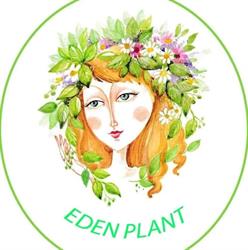 Eden Plant, Rădăuţi