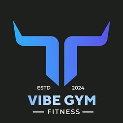 Vibe Gym Fitness, Oradea