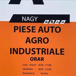 Nagy Piese Auto, Pecica