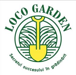 Loco Garden Carei