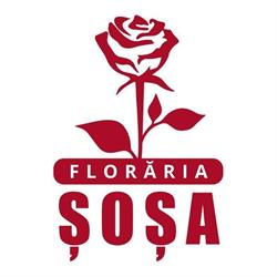 Floraria Sosa Ocna Mures