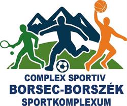 Complex Sportiv Borsec