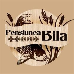 Pensiunea Bila, Naipu