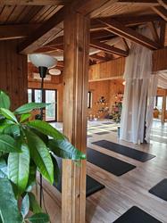 Botanic Garden Studio, Bucureşti