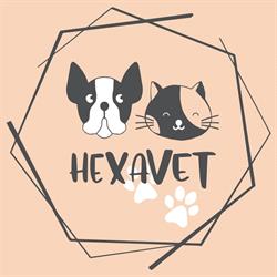Hexavet Romania, Buftea