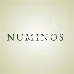 Numinos, Bucureşti