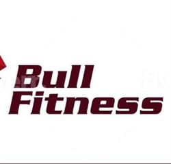 Bull Fitness, Cehu Silvaniei